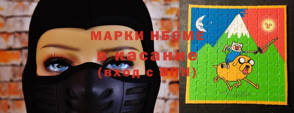 шишки Баксан